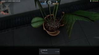 Counter strike Online 2 07 29 2017   21 29 37 12