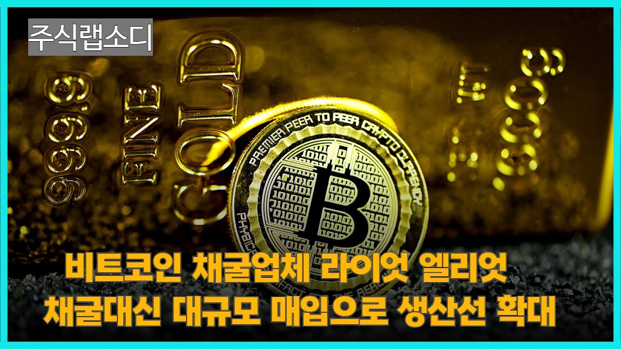 비트코인 채굴업체 라이엇 플랫폼스 채산성 한계로 매입으로 투자 전략 확대