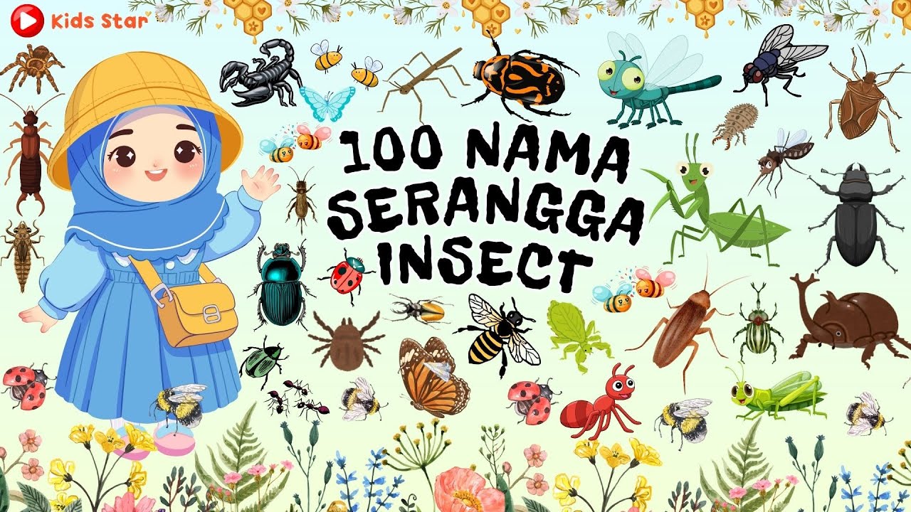 100 NAMA SERANGGA - BELAJAR NAMA HEWAN SERANGGA INDONESIA - INGGRIS | NAMES OF INSECT LEARN ANIMALS