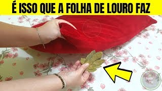Coloca 1 Folha De Louro Debaixo Do Travesseiro Antes De Dormir, Chama Dinheiro E Sorte Na Sua Vida