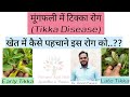 #agriculturesupervisor #tikka #groundnut ##disease #pathology #agriculture