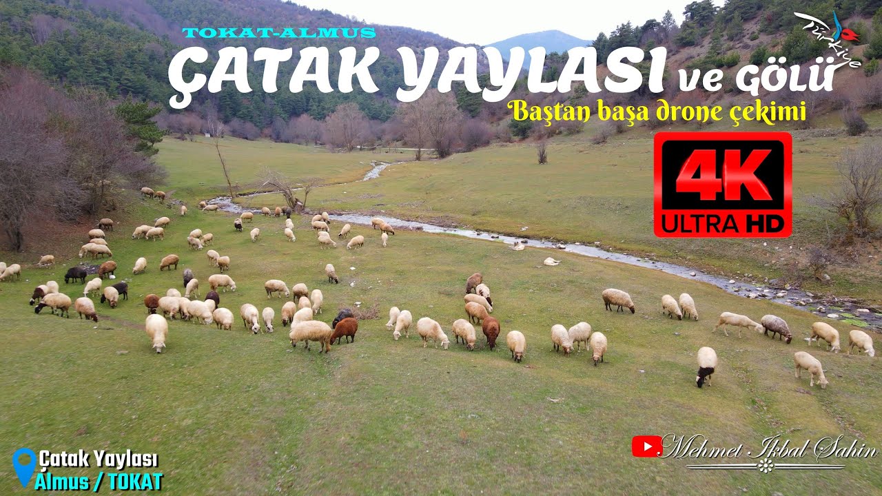 Baştan başa Almus Çatak Yaylası ve Gölü / TOKAT - Havadan 4K Drone Çekimi / 6.12.25