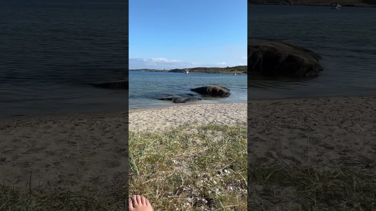 Found a beach with white sand - koster island