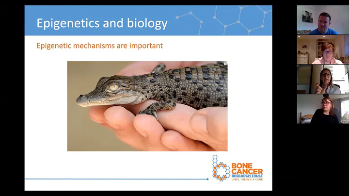 #BiteSizeResearc...  - Webinar 7