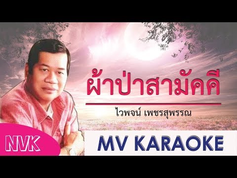 เพลง ผ้าป่าสามัคคี /MV KARAOKE /   ไวพจน์ เพชรสุพรรณ