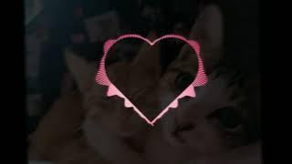 Fate- Ididntcry   Noya Clarissa (Slowed   Reverb)