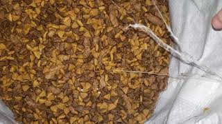 #Purina - I Found Maggots in my sealed bag of DOG FOOD