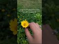 Positive quotes/Positive thoughts/Motivational video/Inspirational quotes/Best motivational videos