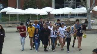 PCC Flash Mob - Spring 2012 8:50am Class