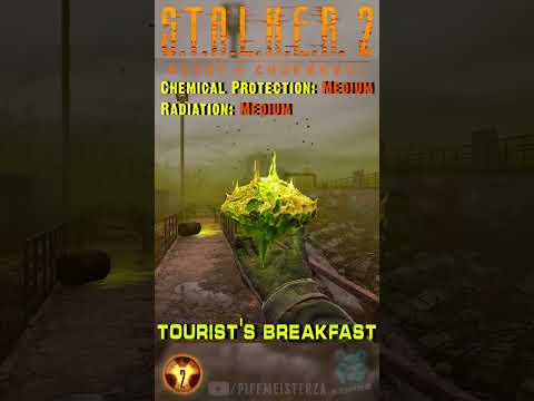 Tourist's Breakfast Artifact