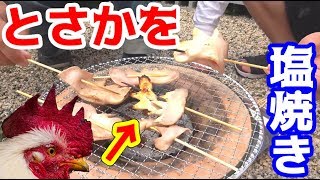 鶏のとさかをいろんな塩で焼いてみる！
