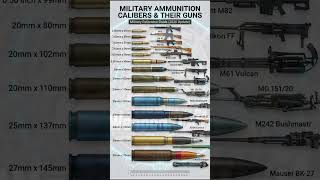 Military Ammo Scale 🤯 From 5.56 to 30mm Beasts!