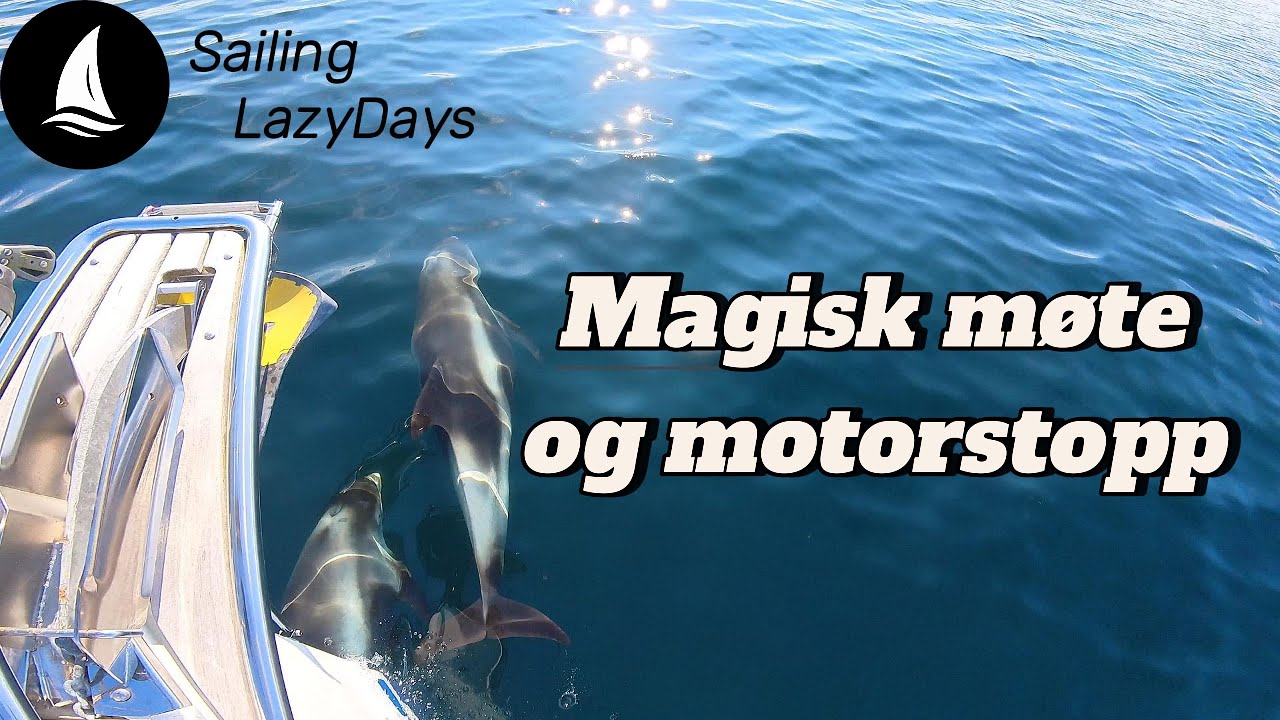 Ep 10 Fra drømmevær til motorstopp – seilasen sørover fra Kirkenes