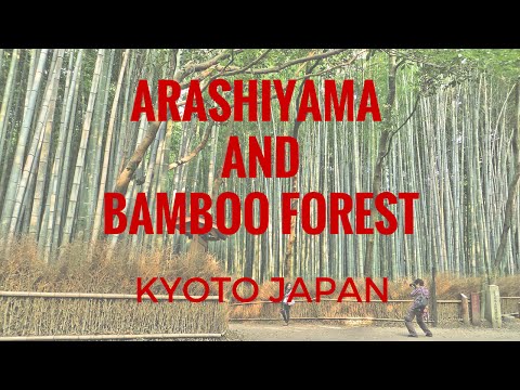 Arashiyama and Bamboo Forest