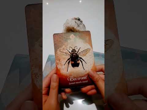 Bee Spirit Has A Message For You 636