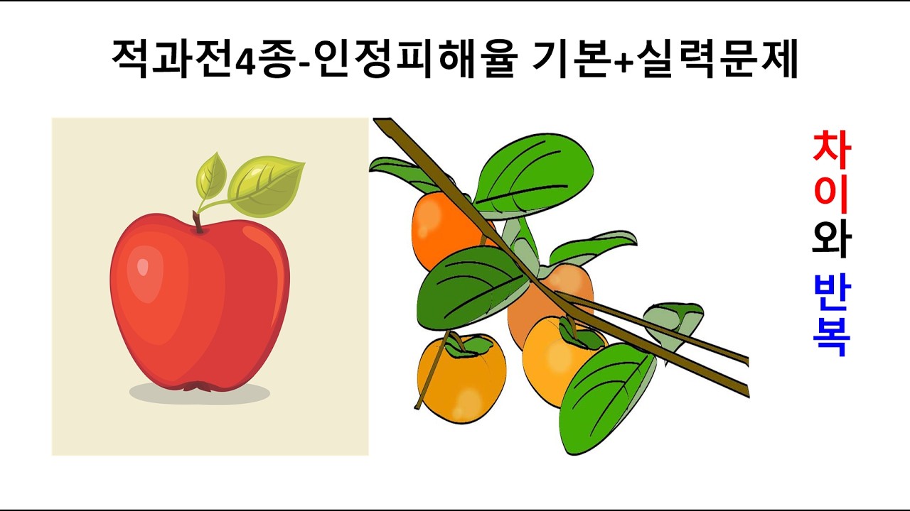 적과전 4종 인정피해율 기본+실력문제#손해평가사#