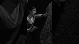 Sorry @Jedimaster2022 #lostinspace #angelacartwright #billmumy #classictv #classicscifi #retro