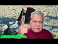 العصفورية الشرقية توني عزمي هبش العصفورية الشرقية توني عزمي هبش