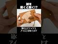 Ironing "Japanese Karakuri Box" #puzzlebox #Puzzle #Shorts