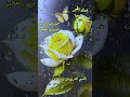 مساء الخير اللهم نصرك الذي وعدت 