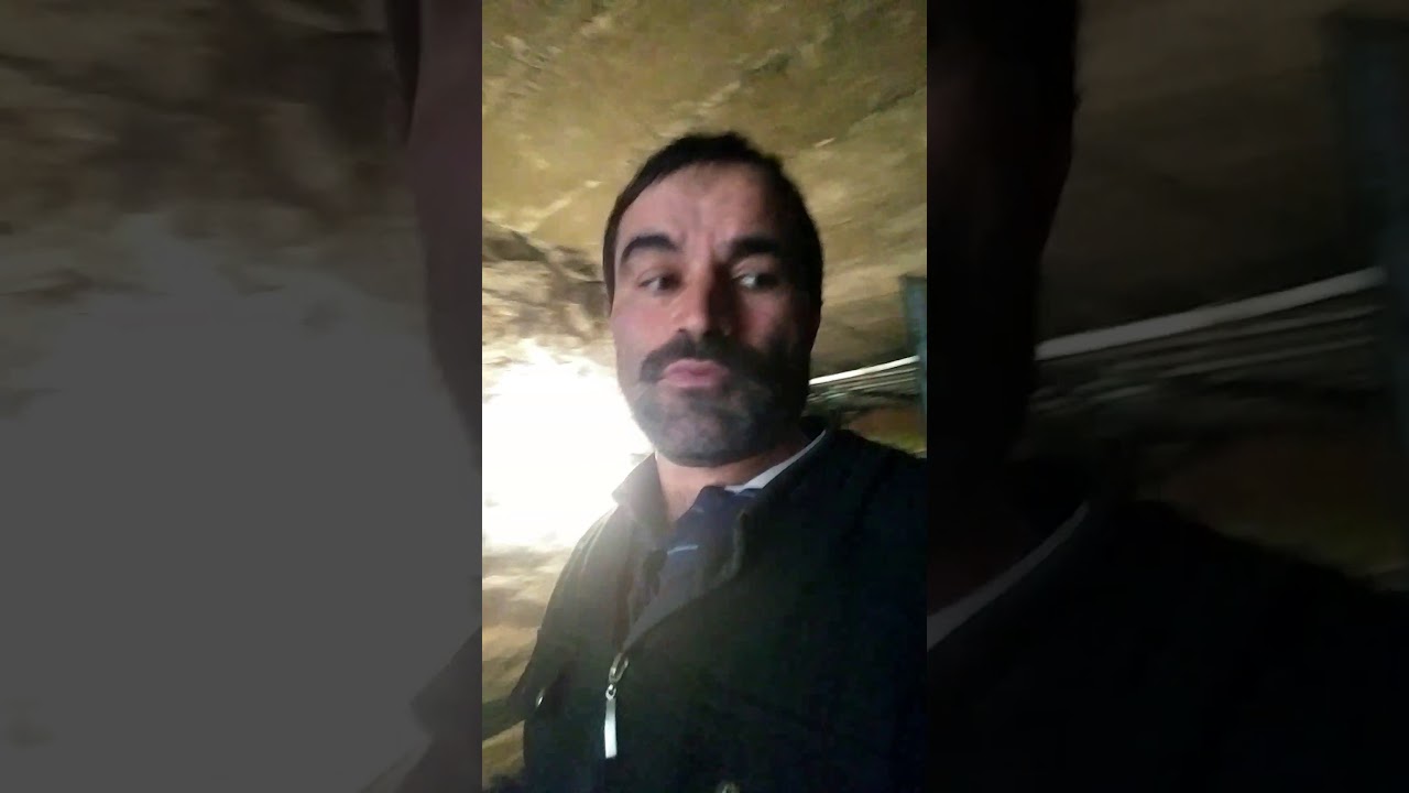 Hasıl yem hakkında bilinmesi gerekenler