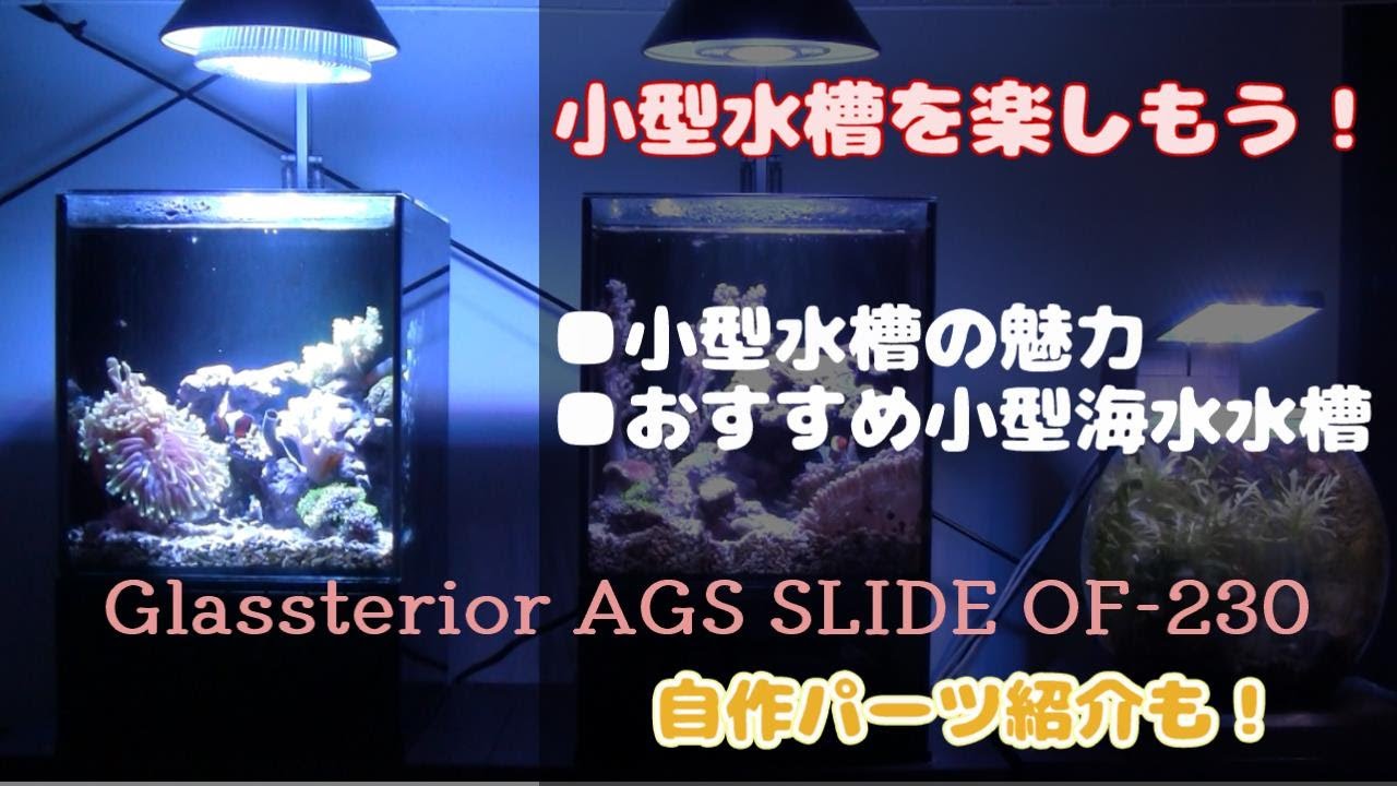 超小型オーバーフロー水槽で海水魚飼育