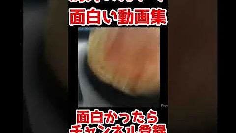 腹筋崩壊不可避 海外のガチで面白い動画集