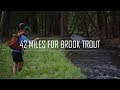 42 Miles for Brook Trout | Backpacking and Fly Fishing the PA Back Country