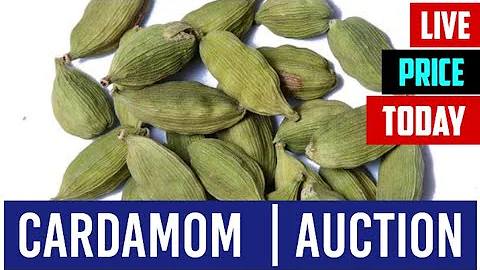 Cardamom auction live price today INDIA 14 MAY 2024 Elaichi wholesale market price