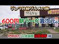 【神コスパ】600円でコレは反則。伊勢崎市「自家製麺 燵家製麺」編
