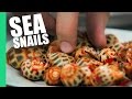 Sea snails in saigon vietnam oc dao