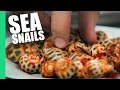 Sea Snails in Saigon, Vietnam! (Oc Dao) - YouTube