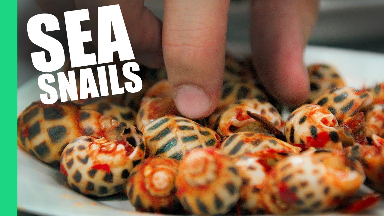 Sea Snails in Saigon, Vietnam! (Oc Dao) - youtube