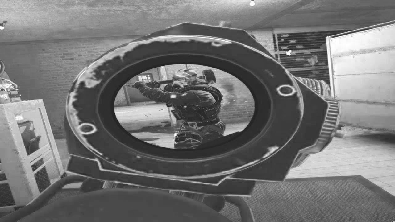 Rainbow Six Siege but sledge HAMMERED your brain