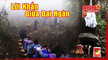 Nghi Lễ Cúng Rừng Của Người Mông Ở Yên Bái | Lời Khấn Giữa Đại Ngàn