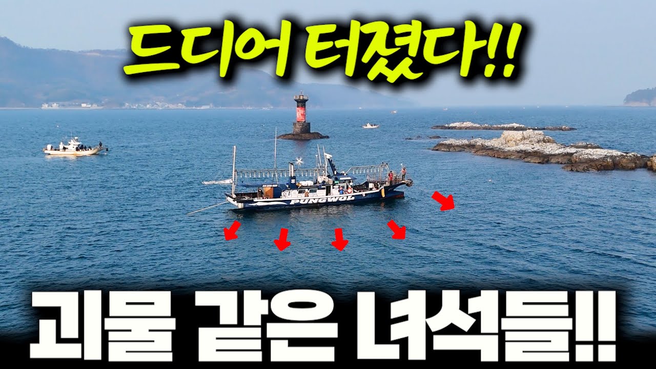 열 번을 도전해서 드디어 만난 대물!! 작정하고 맛있게 먹었습니다!! ㅋ / 이게 낚시의 맛이지!! (박선비tv / 5짜 감성돔회, 일식 간장 생선 조림)