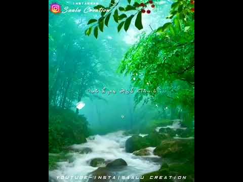 Silu Siluvendru PoongatruTamil Melting WhatsApp statusNature Love statusRainyday whatsapp status