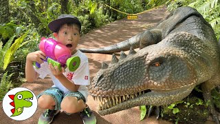 レオくんがいろいろな恐竜たちを退治してみた！ トイキッズ by Toy Kids★トイキッズ 23,946 views 2 weeks ago 12 minutes, 22 seconds