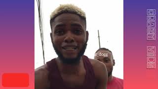 Hat_dogg funny Instagram videos compilation try not to laugh