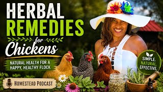 Herbal Remedies for Healthy, Disease-Free Chickens