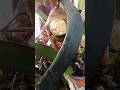 cutting flowers only from coconutree #