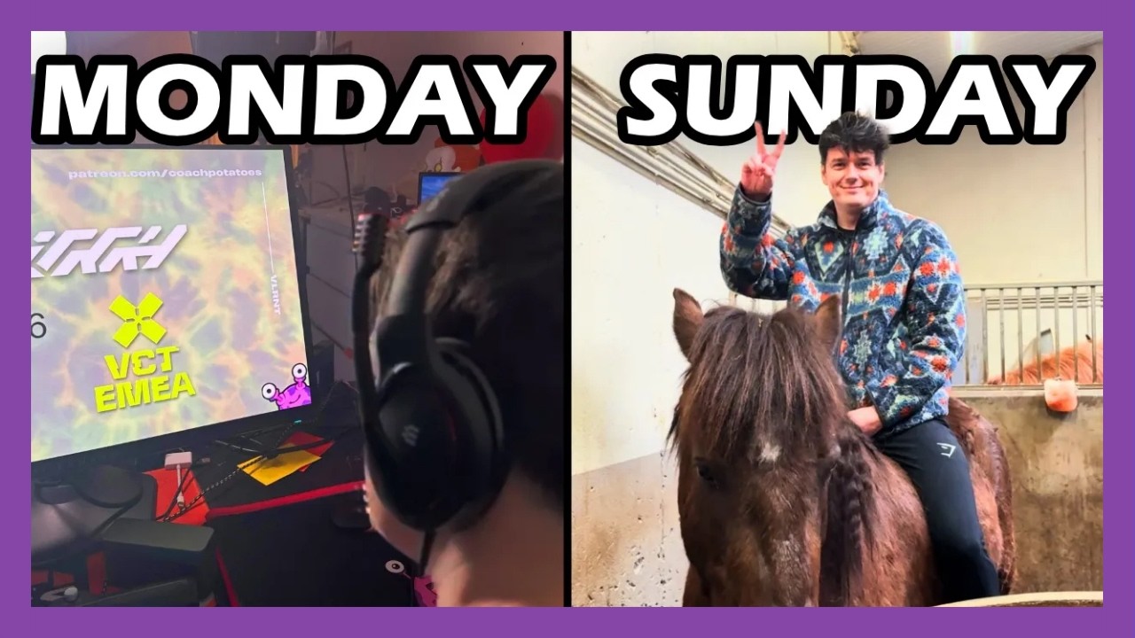 A Week In The Life Of Sliggy