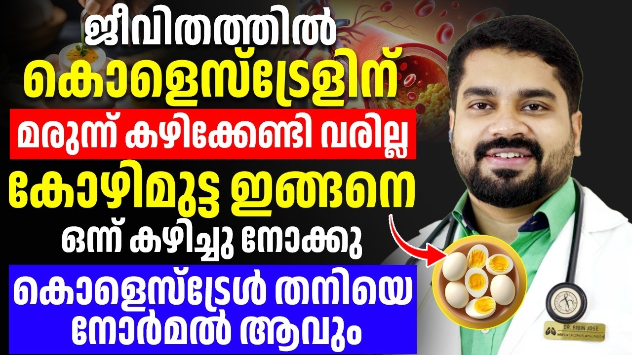 കോഴിമുട്ട കഴിച്ചാൽ കൊളെസ്ട്രോൾ തനിയെ കുറയും ¦ നിങ്ങൾ വിശ്വസിക്കുമോ