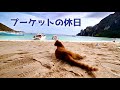 中国経済・韓国経済はお休み! プーケットで「今は、いい感じ」しずかちゃんの歌