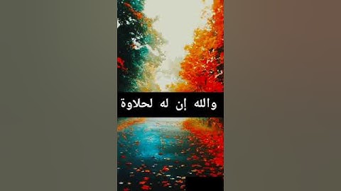 تلاوات قصيره جدا للشيخ محمد أسامه Mohamed osama, koran kareem (2)