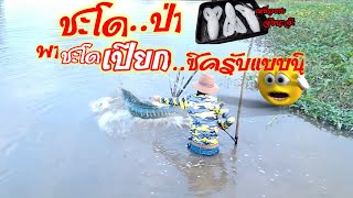 ตกปลาชะโดด้วยเหยื่อปลอมหมายธรรมชาติ#fishing with fake bait