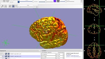 FSLeyes: selecting vertices in 3D