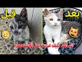 😻نصائح مهمة لاستحمام القطط / إنقاذ قطة من الشارع 😿 شاهد شكلها قبل وبعد الإستحمام😻