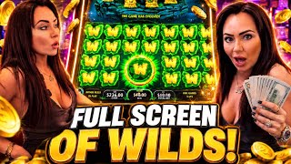That’s a FULL SCREEN of WILDS… Babe, This Is About to Be HUGE!! 😱💰