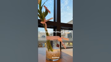 تلاوة خاشعة بصوت اسلام صبحي #سورة_الكهف #يوم_الجمعة #قرآن